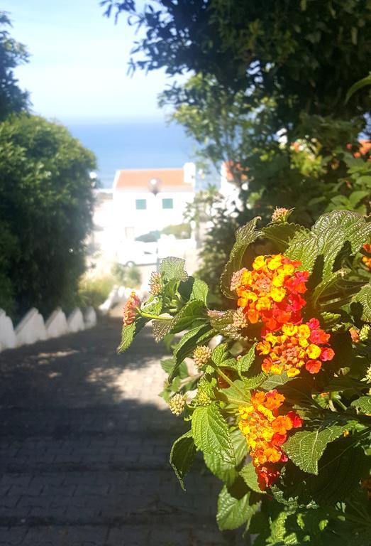 Ocean Villa With Private Pool Ericeira Zewnętrze zdjęcie